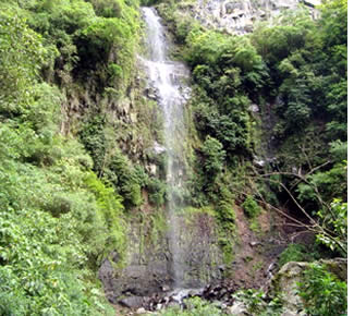 Waterfall at the end of the White Rock Hiking Trail in Boquete, Panama